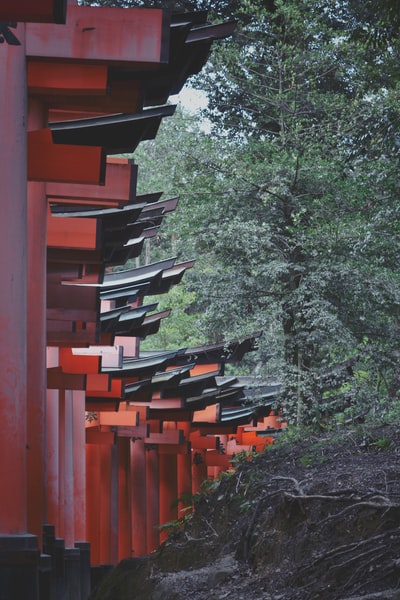 The trees beside the red wooden fence during the day
